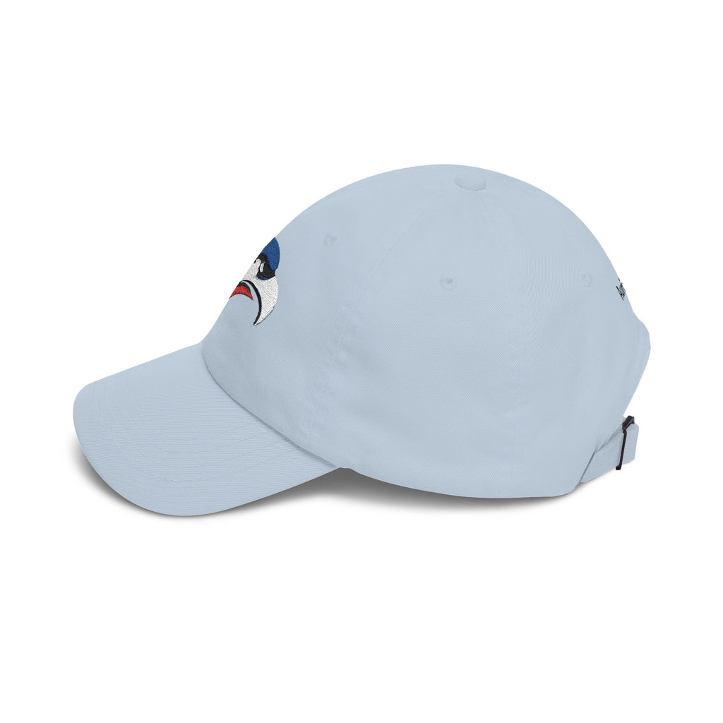 Aurix Styles- Outdoor Eagle Cap
